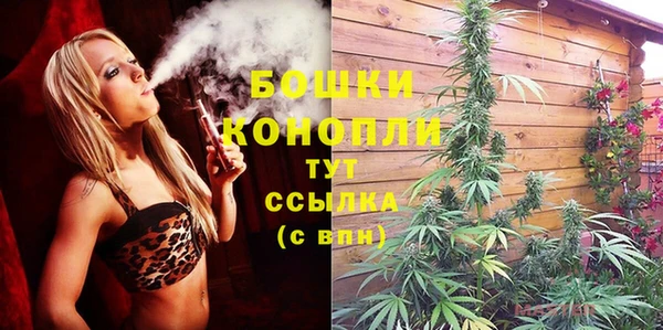 2c-b Горнозаводск
