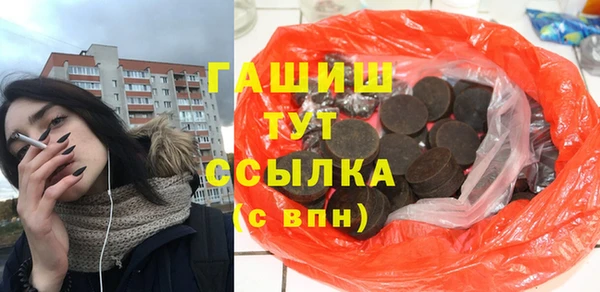 стаф Корсаков
