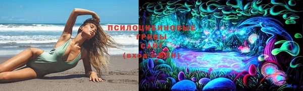 МДПВ Горно-Алтайск
