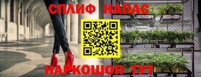шишки Краснознаменск