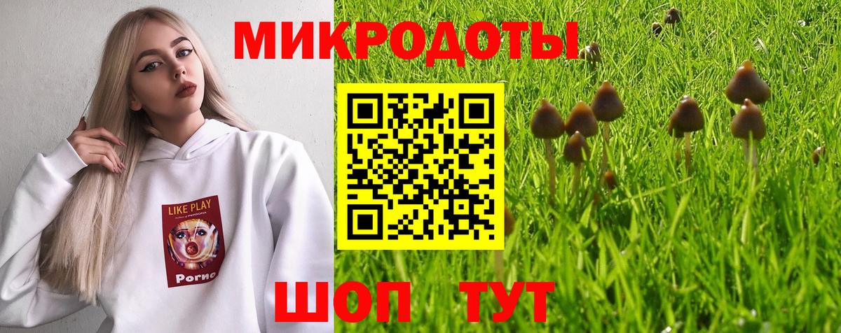 Галлюциногенные грибы прущие грибы Можайск