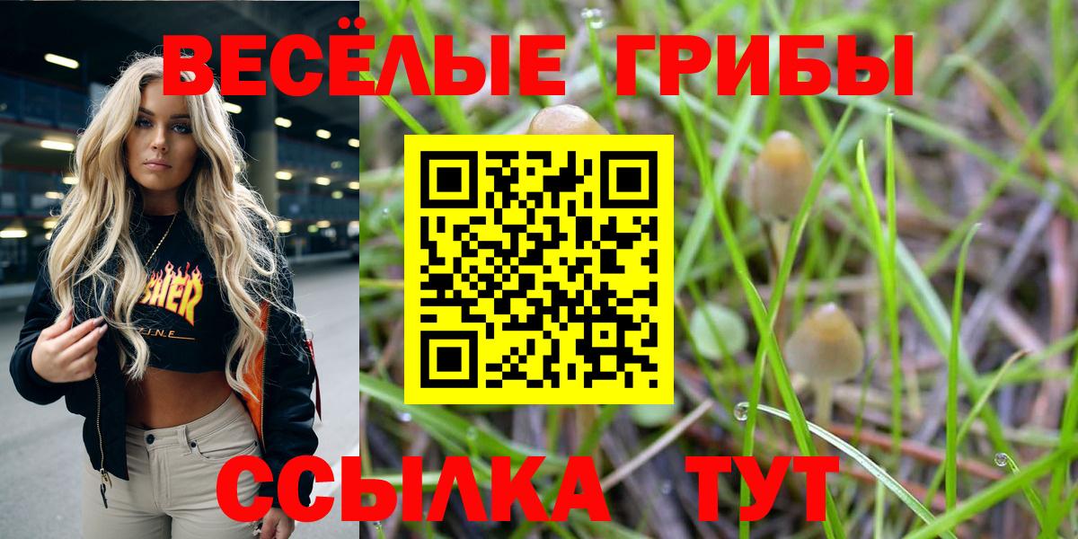 Можайск  Псилоцибиновые грибы ЛСД  Псилоцибиновые грибы Magic Shrooms  Вход с VPN 