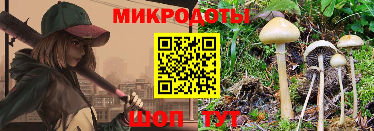 закладка  Можайск  Галлюциногенные грибы прущие грибы  Псилоцибиновые грибы мицелий 