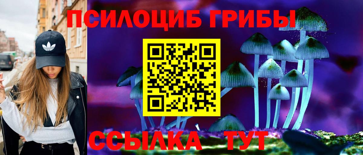 Псилоцибиновые грибы Psilocybine cubensis Можайск